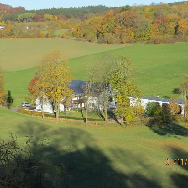 Ferienwohnungen Grafenfelder Hof, hotel in Gerolstein