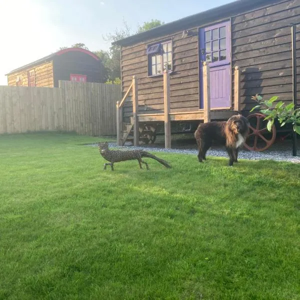 Fox lodge Shepherd Hut Sidmouth, hotel in Sidmouth