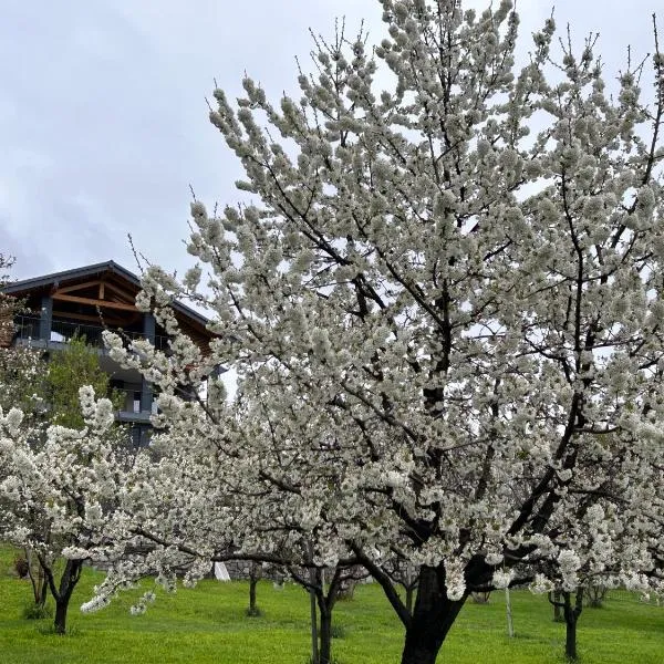 Affittacamere Verger Plein Soleil, hôtel à Saint-Pierre