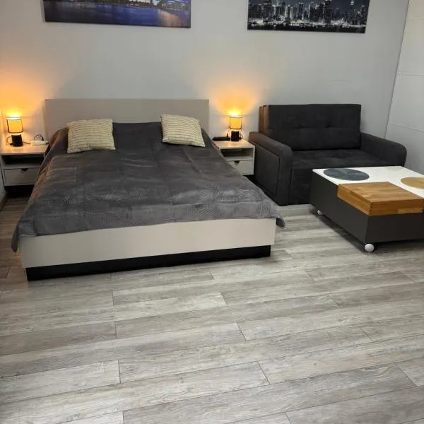 Lovely condo in the heart of Warsaw Piękne mieszkanie w samym sercu Warszawy, hotel ve Varšavě