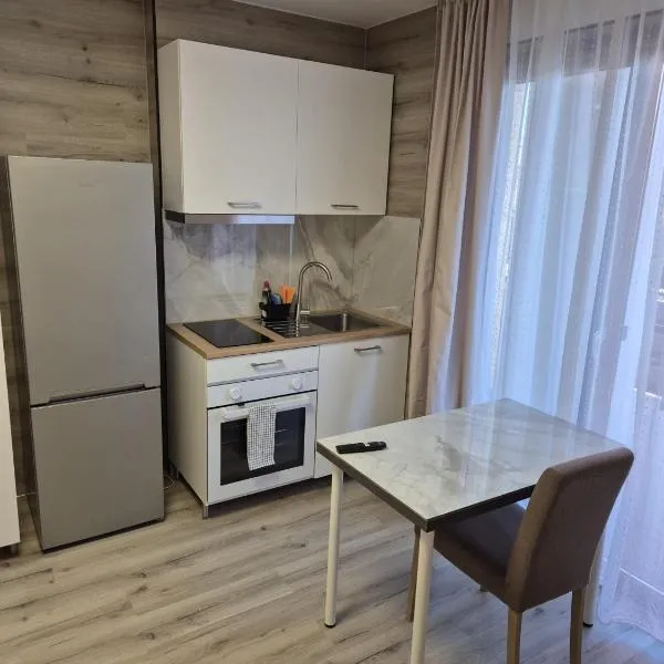 Viktor Studioapartment, hotel in Linz