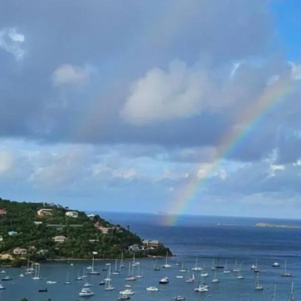 Bethany House - IMMACULATE OCEAN VIEWS Above the Westin Resort - Large Deck, hotel in Cruz Bay