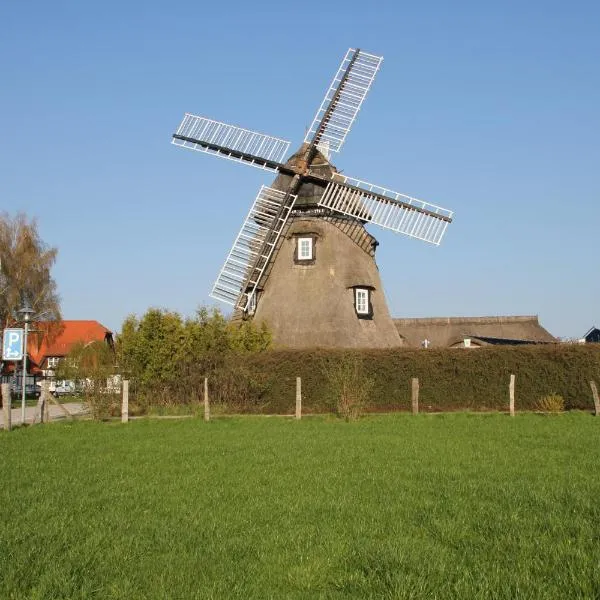 Hotel Mecklenburger Mühle Garni, hotell i Wismar