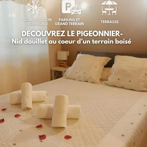 LE PlGEONNIER- Climatisation - Parking - Terrasse, hotel in Carcassonne