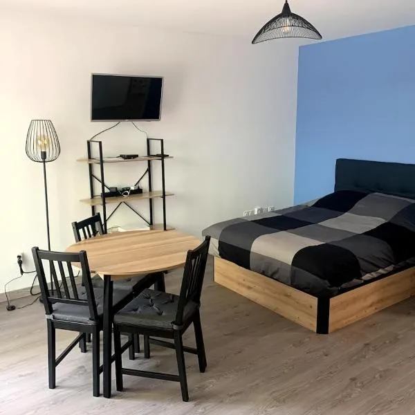 Appartement T1 proche aéroport, hotel di Saint-Jacques-de-la-Lande