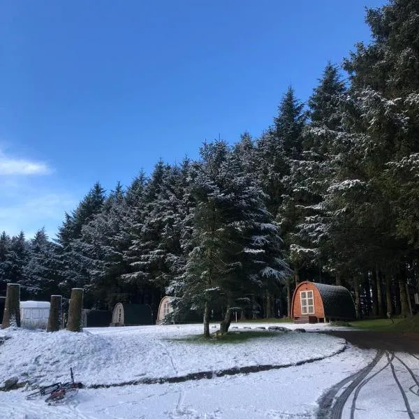 Colliford Lake Hotel & Campsite, hotel in Bolventor