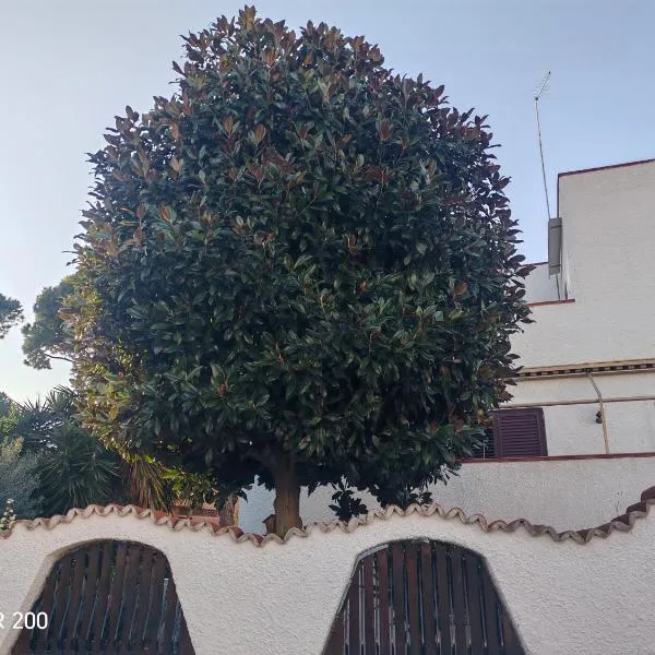 Aminth relax tra mare e colline, hotel in Santa Marinella