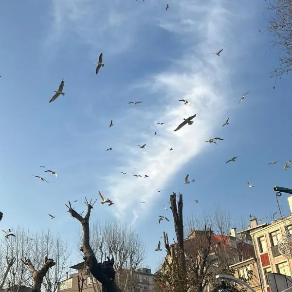 Oldcity hostel istanbul, khách sạn ở Istanbul