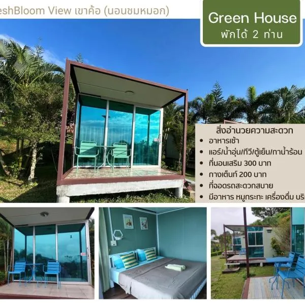 FreshBloom View เขาค้อ Green House，位于考科的酒店