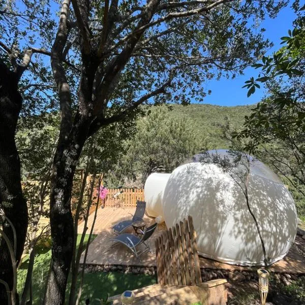 Bulle du Fangu、ガレリアのホテル