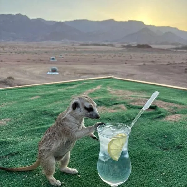 Brandberg White Lady Lodge, hotell sihtkohas Uis