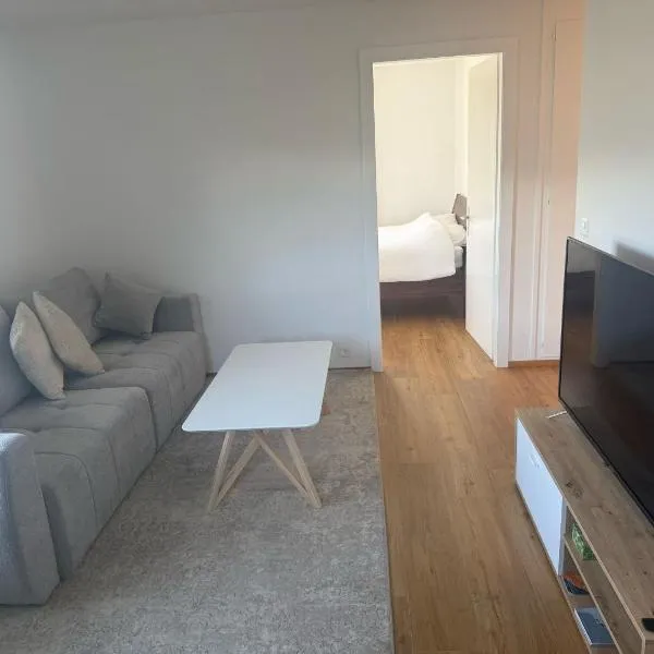 Appartement entier avec terrasse et jardin, hotel a Sion