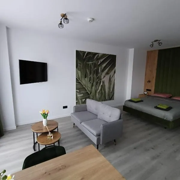 NXN Airportstay, hotel en Cluj-Napoca