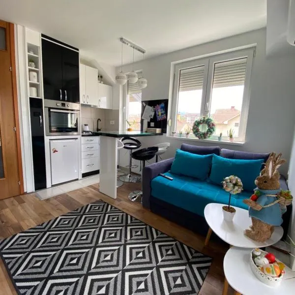 URBANIC Apartment, hôtel à Vrnjačka Banja