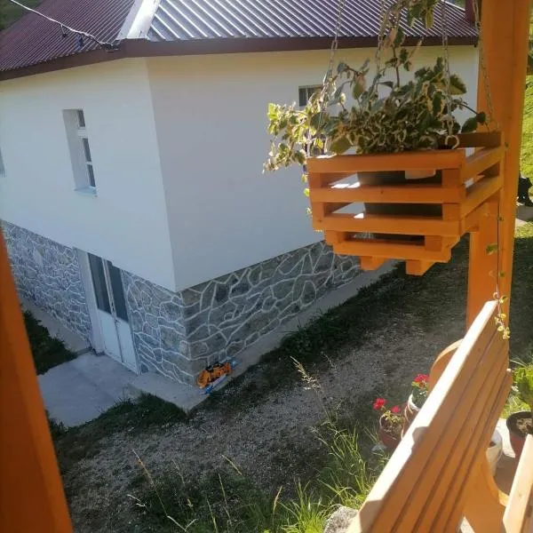 Seosko domaćinstvo Desin Do, hotel in Berane