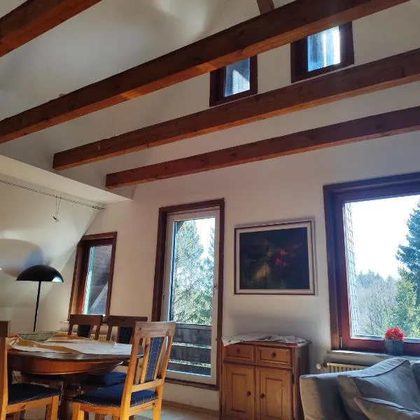 Hotel Carlsruh, hotel in Braunlage
