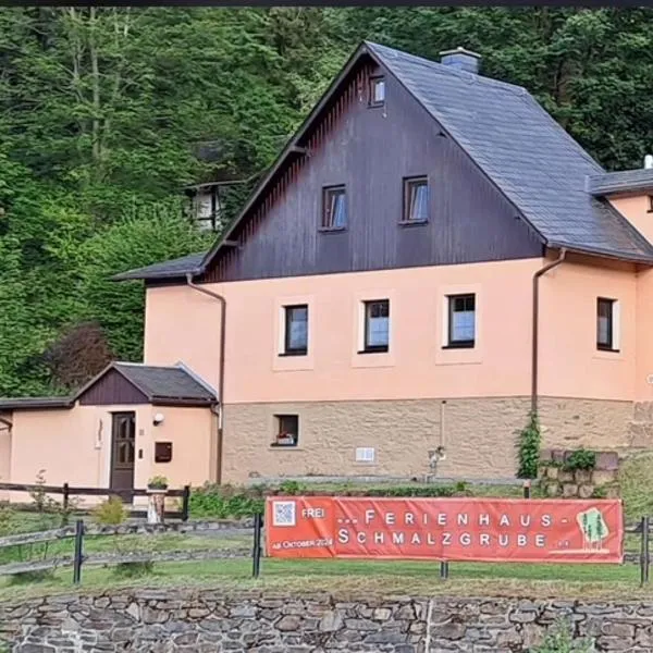 Ferienhaus Schmalzgrube, hotel in Schmalzgrube