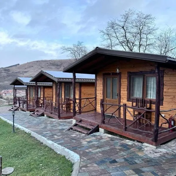 Pensiunea Bodrogeni, Hotel in Poiana Aiudului