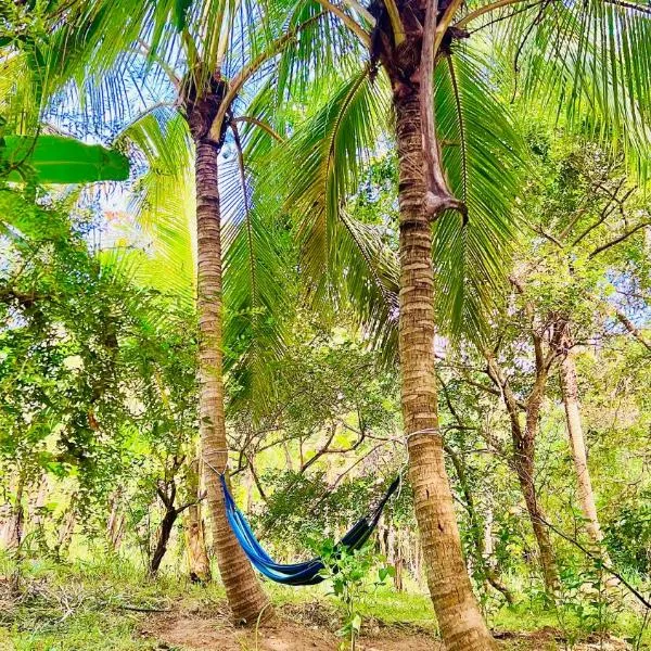 Hakuna Matata Hostel, hotel v destinaci Sigiriya