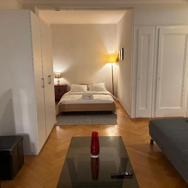 Between The Lausanne train station and Saint Francois，位于洛桑的酒店