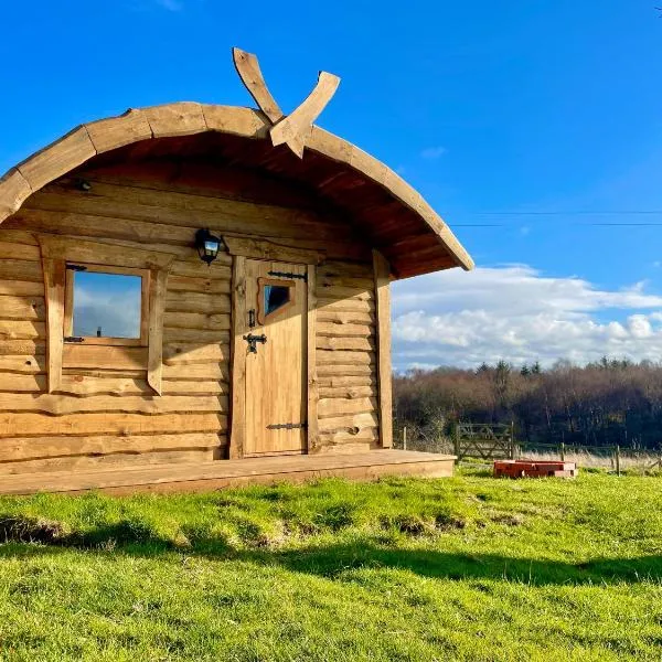 The Viking Lodge with Sauna, hotel in Ystrad-Meurig