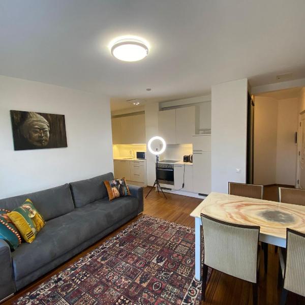 Mini Penthhouse-Cozy Luxury in Tallinn Old Town, Tallinn