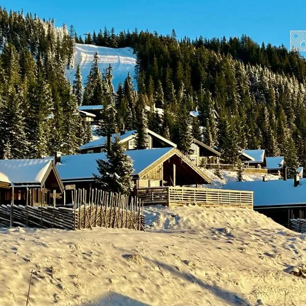 Modern sports cabin on Sjusjøen with sauna and waxing room, Hotel in Ringsaker