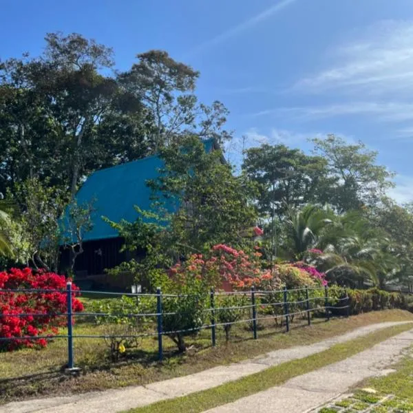 Hostal Finca Ely，位于Tambo的酒店