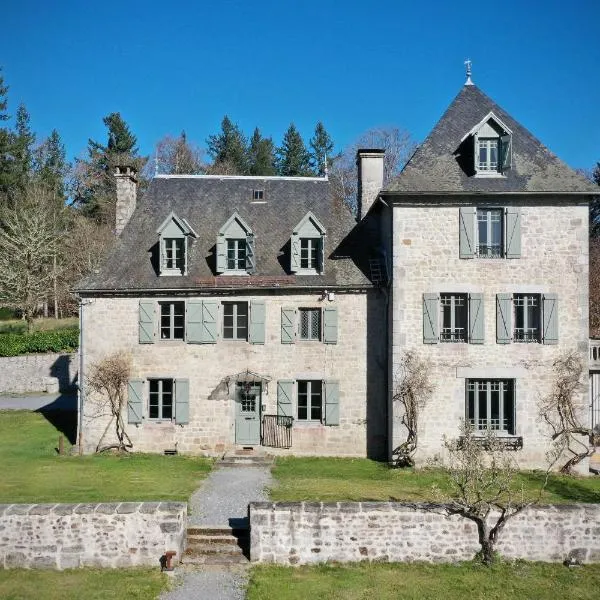 Le Château de Saint-Angel, Le Manoir du Rigouneix, 5 minutes A89, nature, calme, sauna, Hotel in Saint-Angel