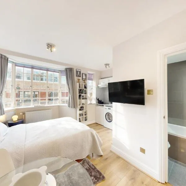 Chelsea Executive Cloisters 571, hotel in London