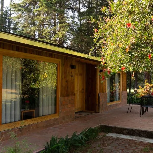 Hotel Rancho Viejo, hôtel à El Aguaje