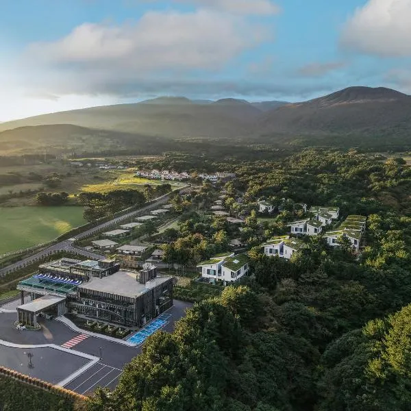 Amber Pure Hill Hotels & Resorts Jeju、済州市のホテル