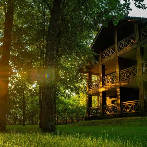 Villa Park Zwierzyniec, hotel in Zwierzyniec