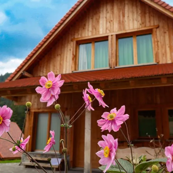 Dolomiti Village, hotell sihtkohas Comeglians