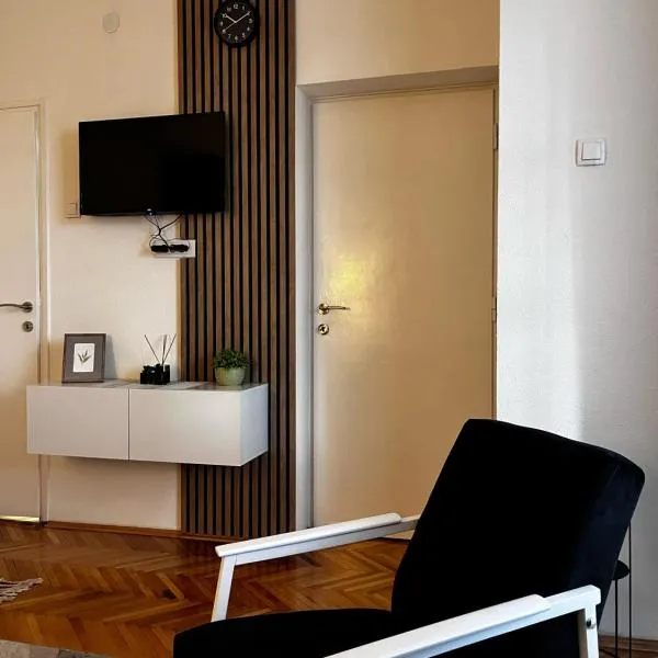 Apartman RISTIC, hotel v destinaci Vranje