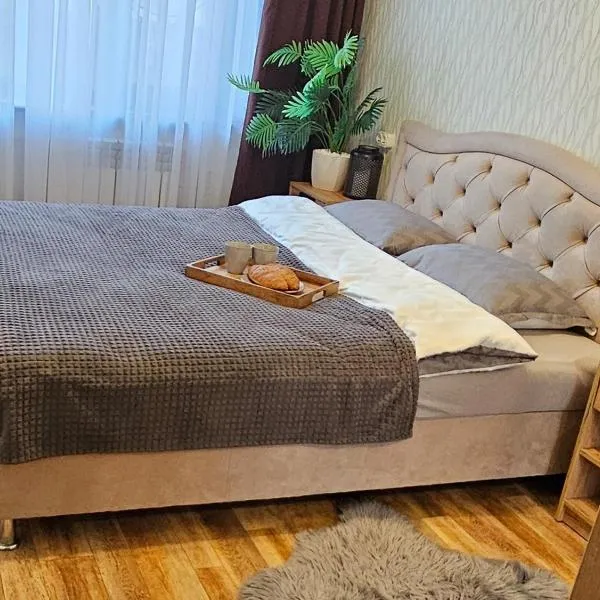 Комфортні апартаменти на Гетьманській 74, Святогеоргієвській 15, hotel in Kryvyi Rih