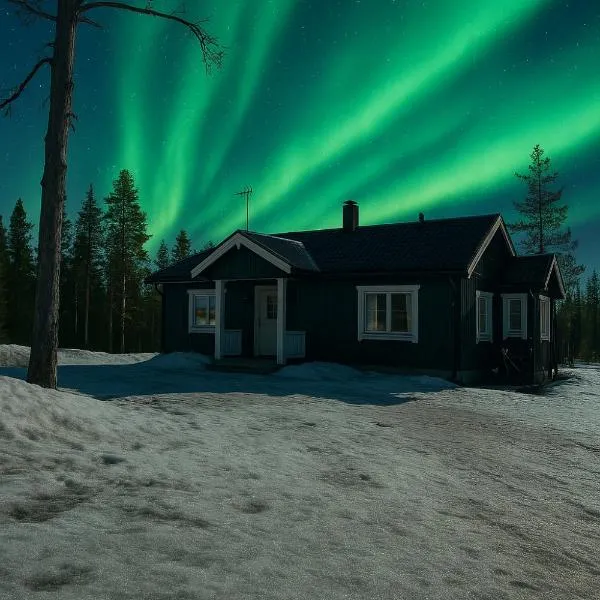 Honkamaja, Aavasaksa, Lappi, Lapland, hotel in Aavasaksa