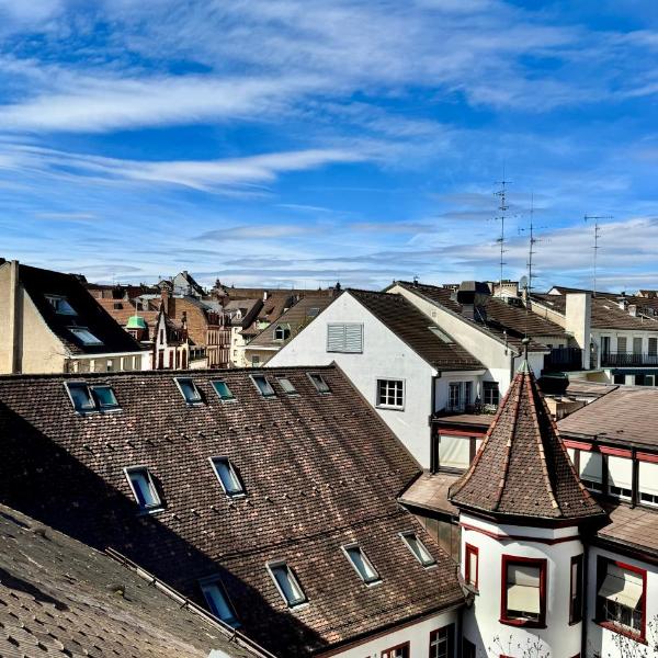City Center Rooftop Balcony-Studio at town hall, Basel