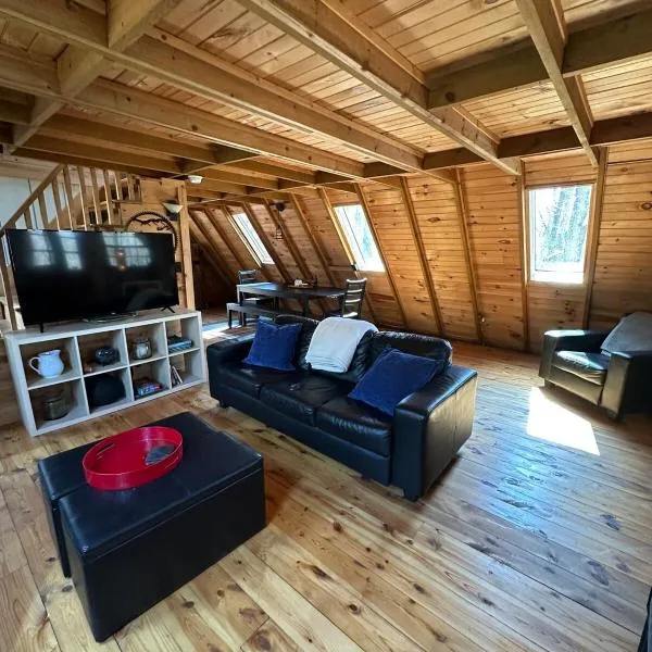 Bearly Behavin、ブルーリッジのホテル