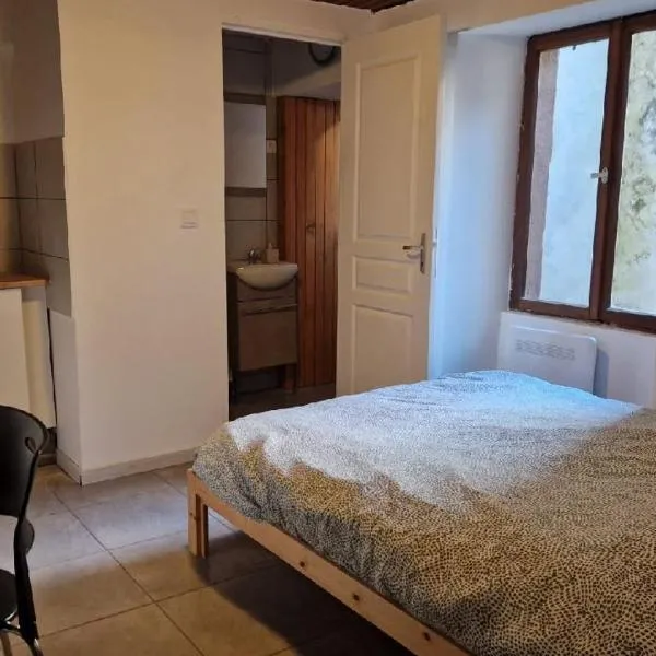 Studio proche centre historique, hotel u gradu 'Altkirch'