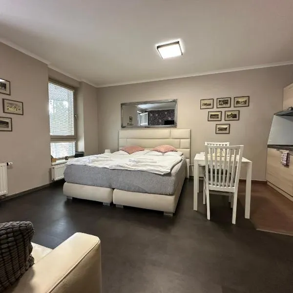 Harrachov Resident Apartments "Terrace & Chill" - high speed WiFi, možnost snídaně, Smart TV, Netflix, Disney plus, Hotel in Harrachov