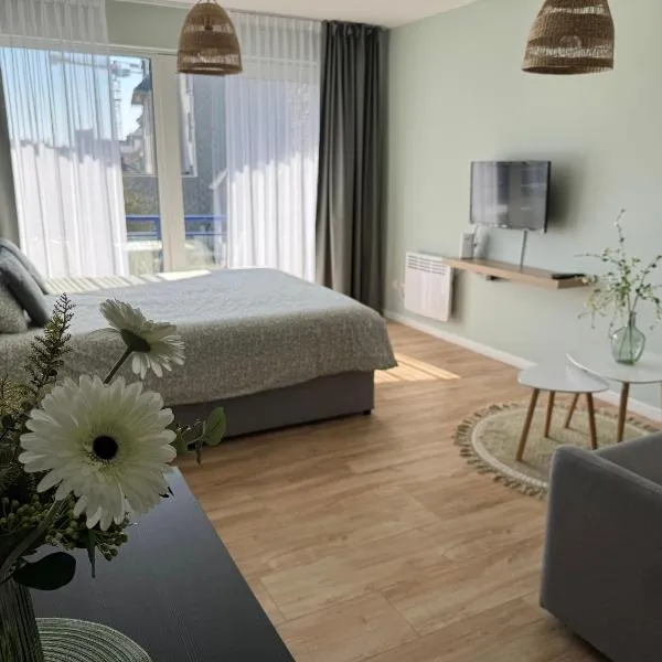 Studio MANI, hotel in Ostend