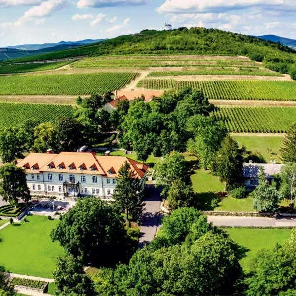 Castle Hotel Grof Degenfeld Superior, hotel v destinaci Tarcal