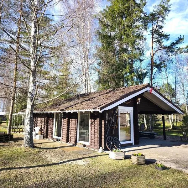 Rozes Oga, Tūrisma mītnes namiņš, hotel a Ieriķi