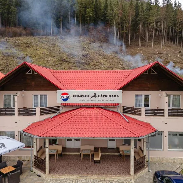 Pensiune Restaurant Căprioara Toplița: Topliţa şehrinde bir otel