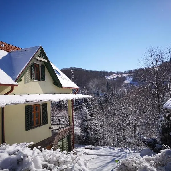 Vadrózsa Vendégház, hotel en Mátraszentistván
