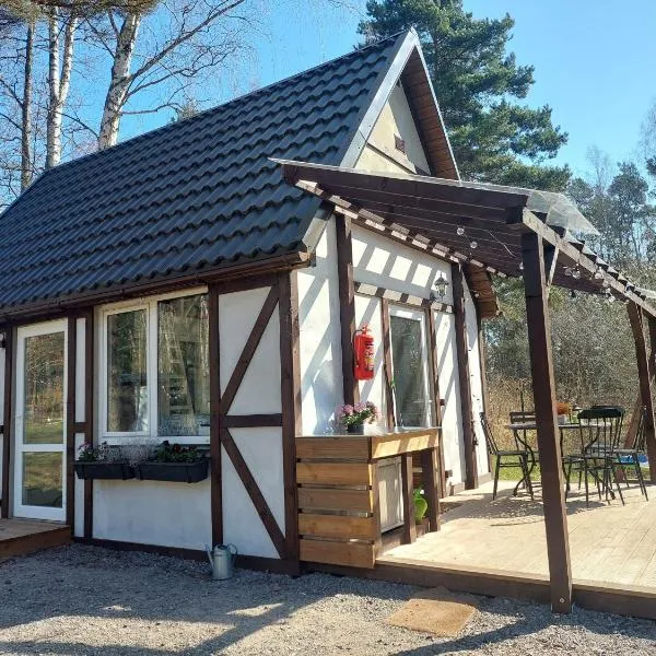 Small 24 sq m house for 6 people with 2 extra beds, отель в городе Плиеньциемс