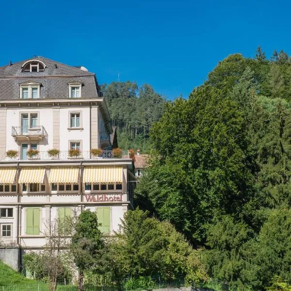 Budget Waldhotel Unspunnen, hotel v destinaci Interlaken