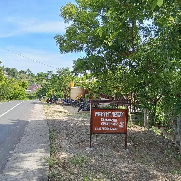 Feby's Homestay, hotel v destinaci Ekas