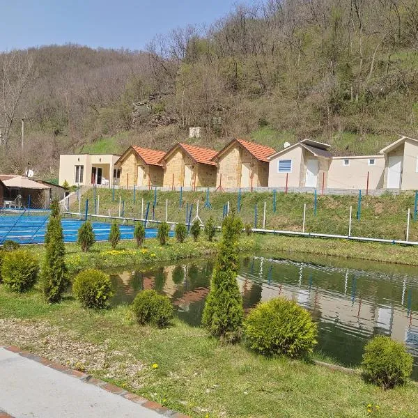 Prenociste Vranjska banja, hotel v destinaci Vranjska Banja